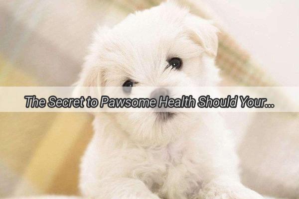 The Secret to Pawsome Health Should Your Dogs Deworming Regimen Include Probiotics